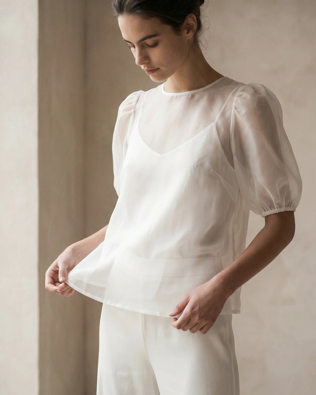 The Alessia Organza Puff Top