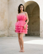 The Chloé Tulle Illusion Dress