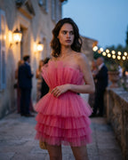 The Chloé Tulle Illusion Dress