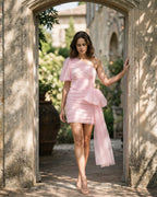 The Arabella Organza Mini Dress